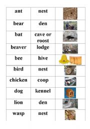 Animal homes worksheets