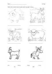 English Worksheet: Farm Animals