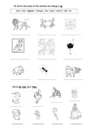 English worksheet: Animals and pronouns