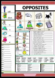 English Worksheet: OPPOSITES