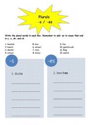 English worksheet: Plurals