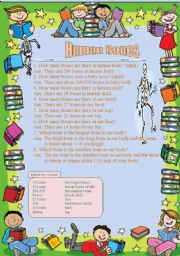 English Worksheet: Human Bones