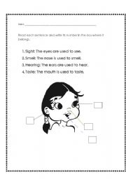 English worksheet: FIVE SENSES