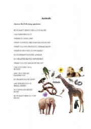 English worksheet: ANIMALS