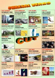 PHRASAL VERBS:CUT