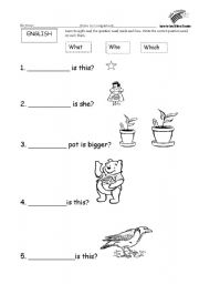 english worksheets basic question words