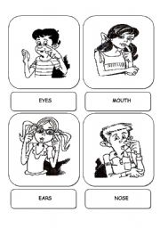 English Worksheet: Body Parts - FLASHCARDS  (Head, Shoulders, Knees and Toes song)