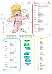 English Worksheet: The body 