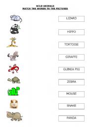 English Worksheet: WILD ANIMALS 1