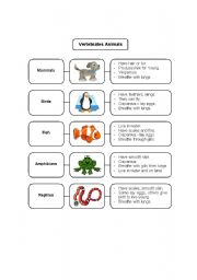 English Worksheet: Vertebrate and Invertebrate Animals