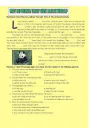 English Worksheet: Why do pandas today have black marks?