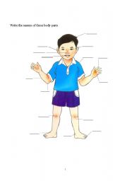 English Worksheet: Body parts