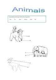 English worksheet: animals