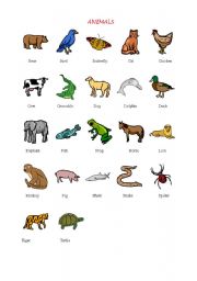 English worksheet: Animals