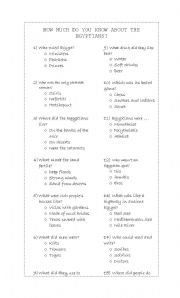 English Worksheet: Quiz on Egypt