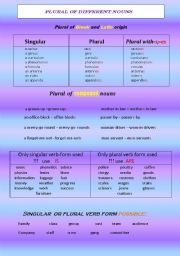 English Worksheet: plural of nouns