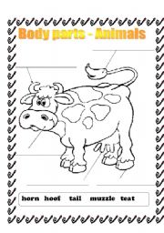 English Worksheet: Body parts - animals