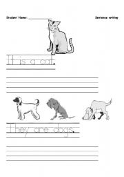 English worksheet: Beginner sentence writing