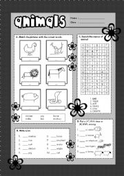 English Worksheet: Animals