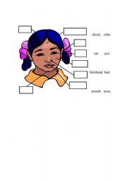 English Worksheet: body