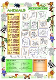 English Worksheet: Elementary Vocabulary Series2 - Animals