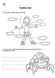 English Worksheet: parts of the body- have/has got
