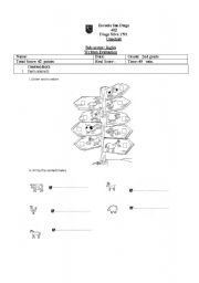 English Worksheet: fram animal test