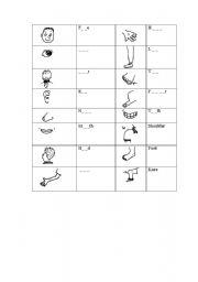 English Worksheet: Body parts