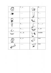 English Worksheet: Body parts