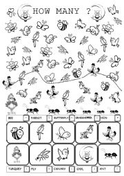 English Worksheet: BIRDS AND INSECTS - HOW MANY?