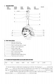 English Worksheet: Parts of body and their functions