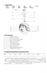 Parts of body and their functions