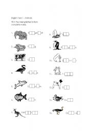 English worksheet: animals