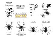 English Worksheet: Is An Ant An Insect
