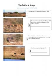 English Worksheet: Battle at Kruger  - youtube lesson