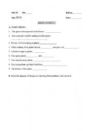 English worksheet: Photosynthesis worksheet