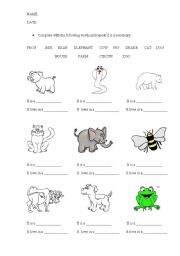 English Worksheet: Animals
