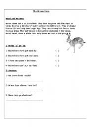 English Worksheet: Brown Hare (Reading Comprehension)