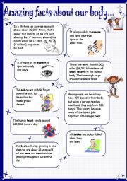 English Worksheet: facts about our body - did you know?