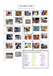 English Worksheet: Summer Olympic Sports 