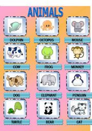 English Worksheet: Sweet Animals