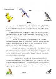 English Worksheet: Birds