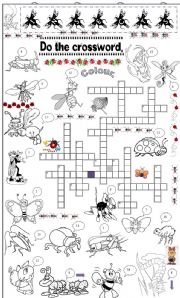 English Worksheet: insects