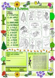 English Worksheet: Elementary Vocabulary Series14  Trees and Flowers