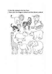 English Worksheet: Wild animals