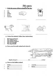 English Worksheet: the most common animals at home