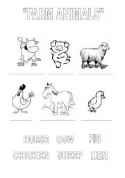 Farm Animals