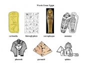 English worksheet: Words From Egypt