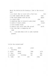 English Worksheet: vocabulary 