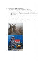 English Worksheet: speaking exercise